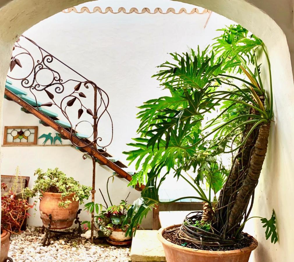 Casa Del Teatro Luxury Casas Vejer Debra Villa Vejer de la Frontera Dış mekan fotoğraf
